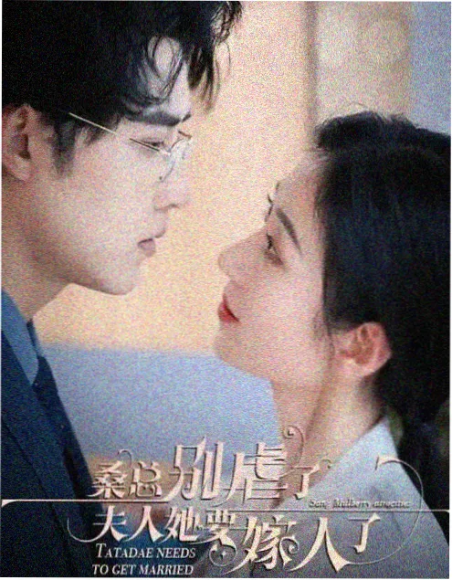 迷雾档案 777电影网热播电视剧免费追